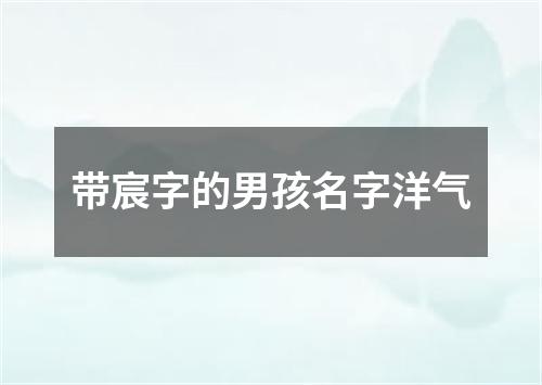 带宸字的男孩名字洋气