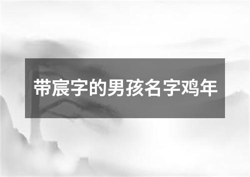 带宸字的男孩名字鸡年