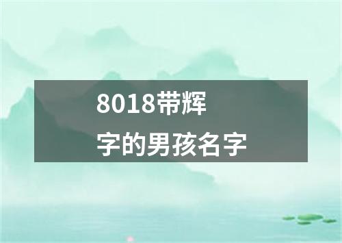 8018带辉字的男孩名字