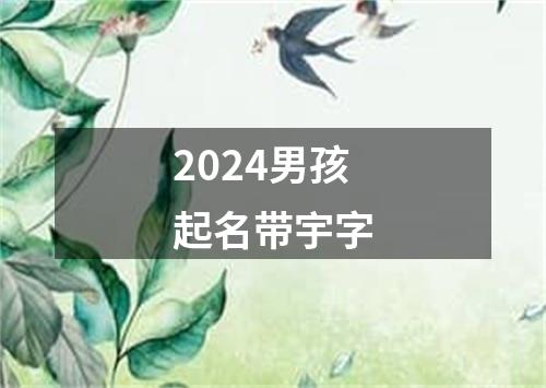 2024男孩起名带宇字