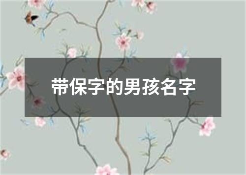 带保字的男孩名字