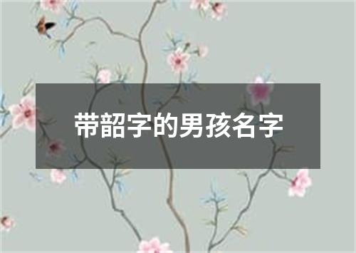 带韶字的男孩名字