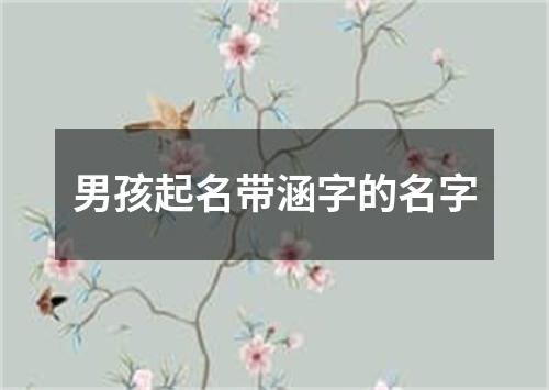 男孩起名带涵字的名字