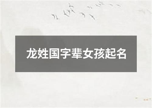 龙姓国字辈女孩起名