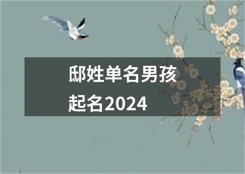 邸姓单名男孩起名2024