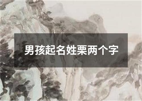 男孩起名姓栗两个字