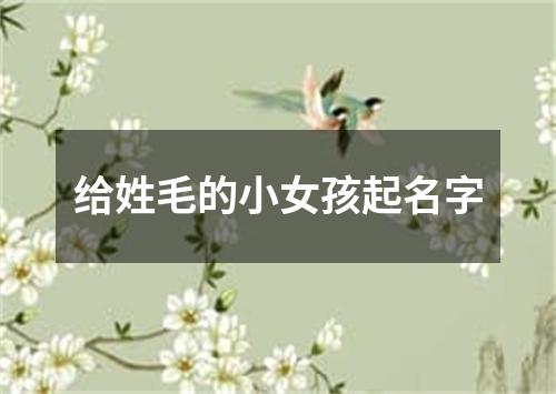 给姓毛的小女孩起名字