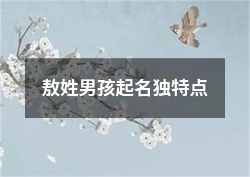 敖姓男孩起名独特点