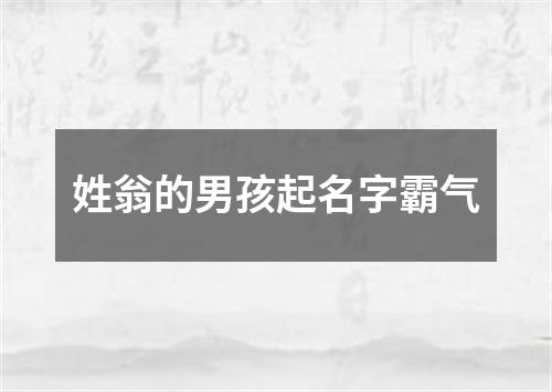 姓翁的男孩起名字霸气