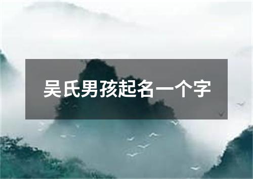 吴氏男孩起名一个字