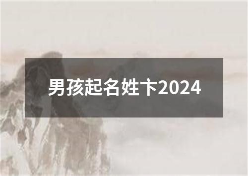 男孩起名姓卞2024