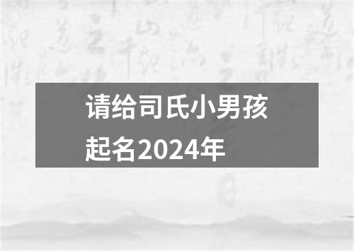 请给司氏小男孩起名2024年