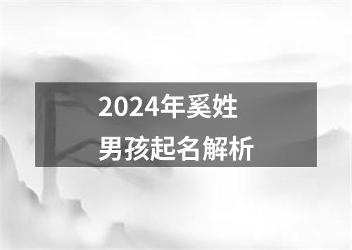 2024年奚姓男孩起名解析