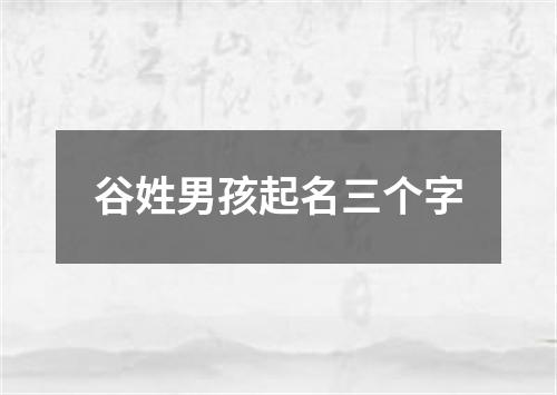 谷姓男孩起名三个字