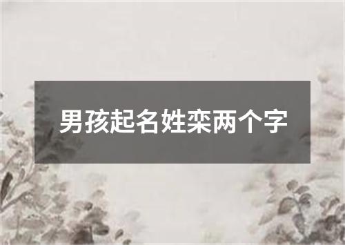 男孩起名姓栾两个字