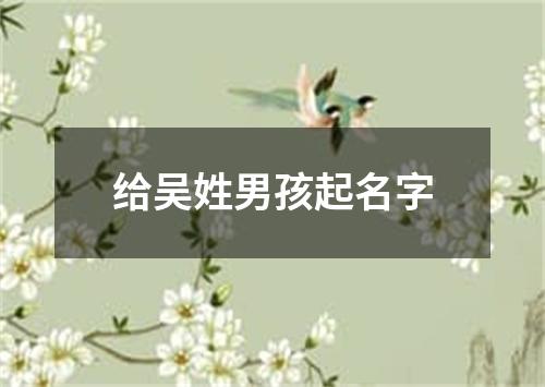 给吴姓男孩起名字