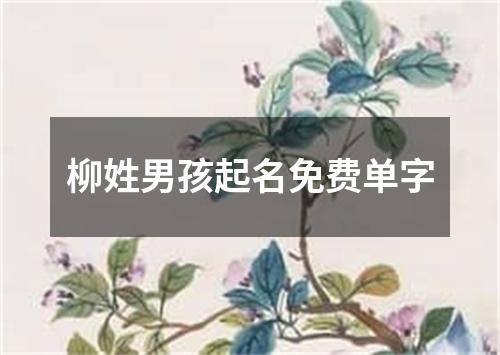 柳姓男孩起名免费单字