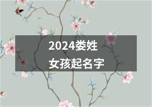 2024娄姓女孩起名字