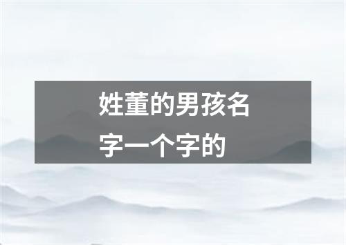 姓董的男孩名字一个字的