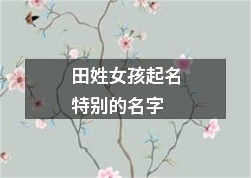 田姓女孩起名特别的名字