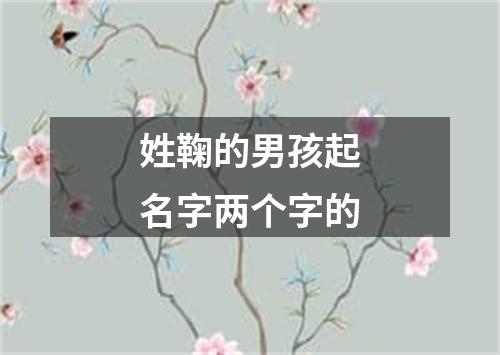 姓鞠的男孩起名字两个字的