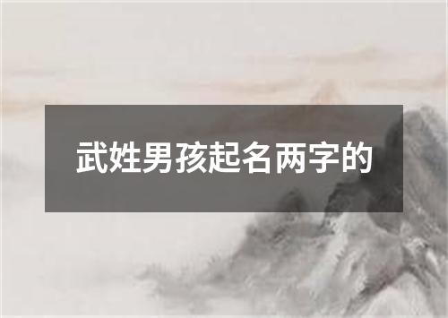 武姓男孩起名两字的