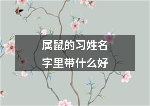 属鼠的习姓名字里带什么好