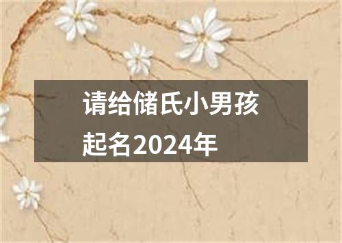 请给储氏小男孩起名2024年