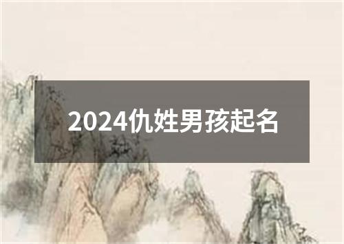 2024仇姓男孩起名