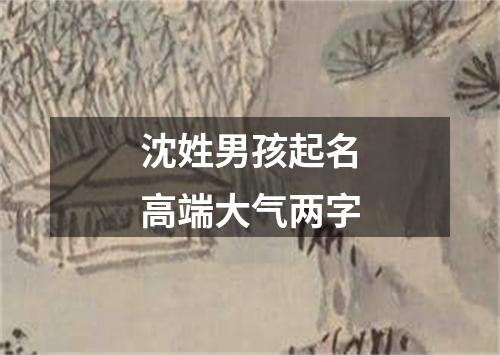 沈姓男孩起名高端大气两字