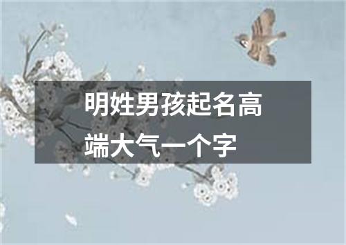 明姓男孩起名高端大气一个字