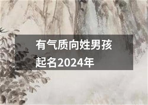 有气质向姓男孩起名2024年