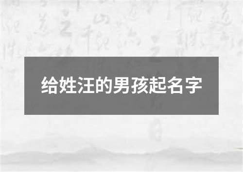 给姓汪的男孩起名字