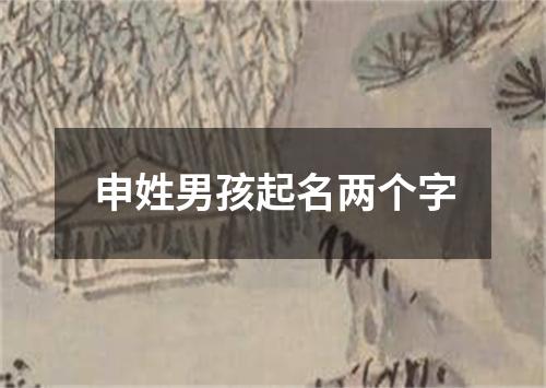 申姓男孩起名两个字