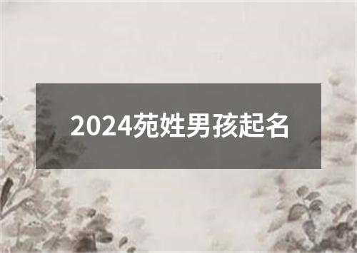 2024苑姓男孩起名