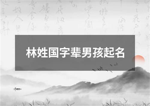 林姓国字辈男孩起名