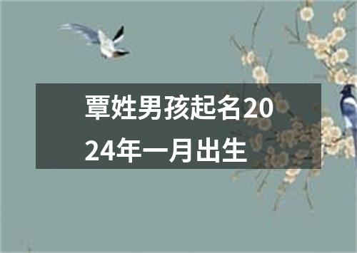 覃姓男孩起名2024年一月出生