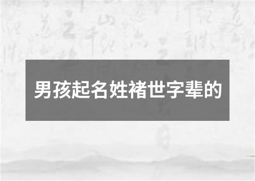 男孩起名姓褚世字辈的