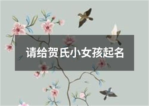 请给贺氏小女孩起名