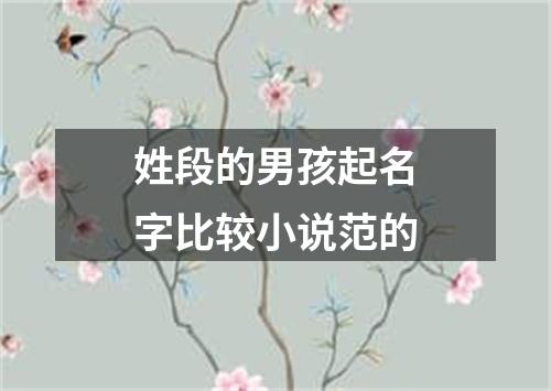 姓段的男孩起名字比较小说范的