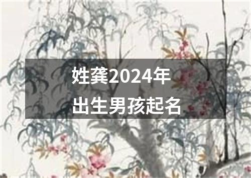 姓龚2024年出生男孩起名