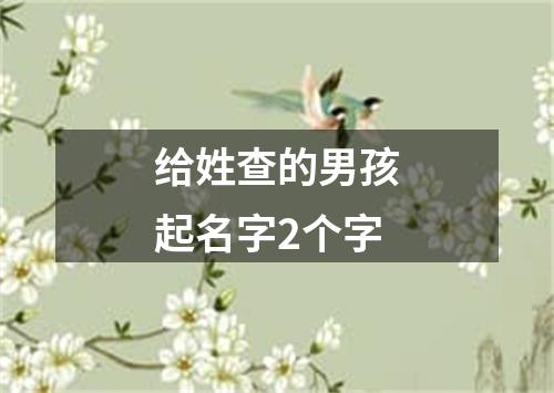 给姓查的男孩起名字2个字