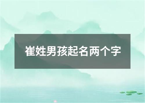 崔姓男孩起名两个字