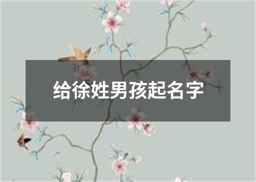 给徐姓男孩起名字