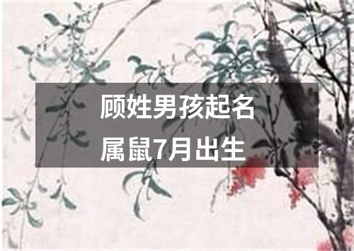 顾姓男孩起名属鼠7月出生