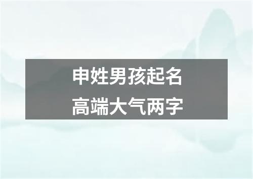 申姓男孩起名高端大气两字