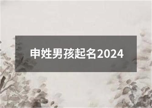 申姓男孩起名2024