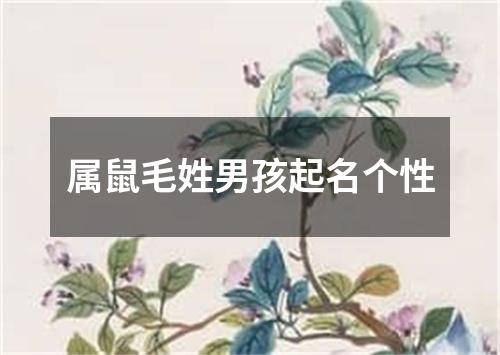 属鼠毛姓男孩起名个性