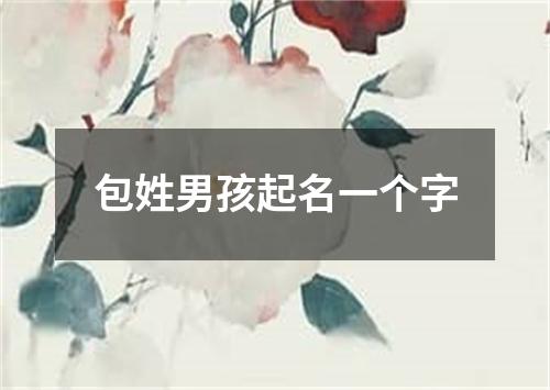 包姓男孩起名一个字