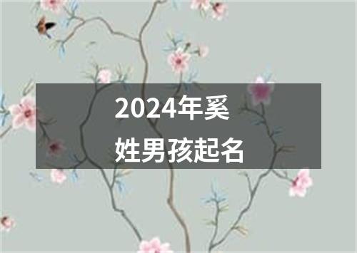 2024年奚姓男孩起名